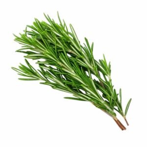 Fresh Rosemary